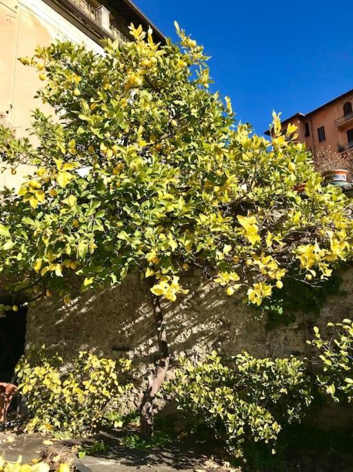 Villa Livia La Spezia Bagian luar foto